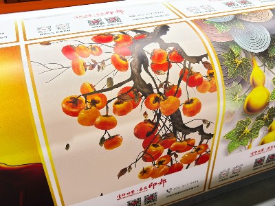 一台设备如何玩转广告行业——ADL5191微压电宽幅面打印机